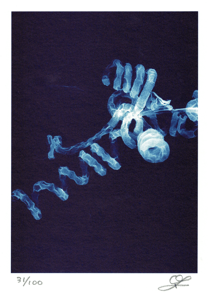 Ivermectin illustration